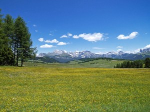 alpe-di-siusi-dolomiti